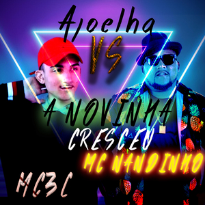 Ajoelha Vs a Novinha Cresceu (feat. Mc 3l, Mc Fabuloso & Mc Nandinho)