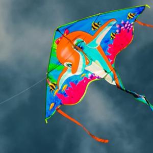 Main Hawa Tu Patang Hoti