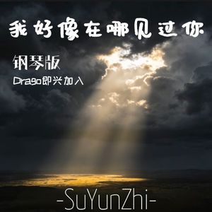 我好像在哪见过你（钢琴版）（钢琴家Drago即兴加入）