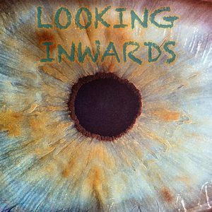 Transformator - Looking Inwards