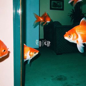 夜泳 (We Dive)