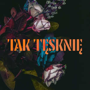 Tak Tęsknię (Radio Edit)