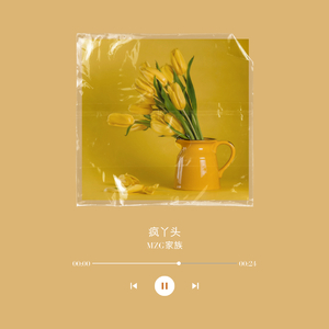 疯丫头（宫楚柠翻唱）