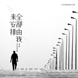 全部由我来安排