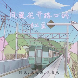 凤凰花开路口的红豆