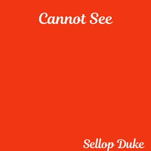 Cannot See
