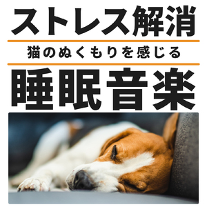 愛犬のリラックス時間