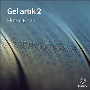 Gel artık 2