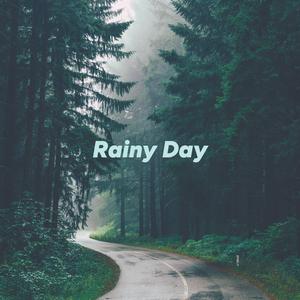 Sleepy Rain in The Windy Forest