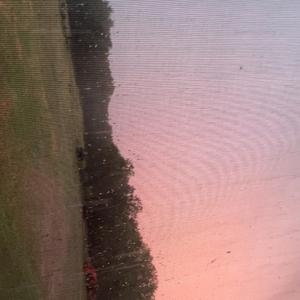 When The Silence Falls