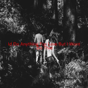 I'd Do Anything For Love (But I Won't Do That) (Tribute version originally performed by Meat Loaf)
