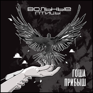 Вольные птицы