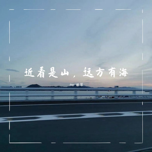 远方有海（live）