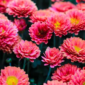 挂断这通电话.mp3