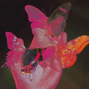 当三连音响起我以为是你找我了