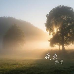 夜色 (Cover 邓丽君)