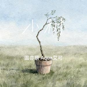 小树