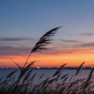 永远永远  (R&B微醺版) (Remix)