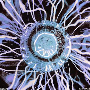 GROOVE ALL THIS PLACE