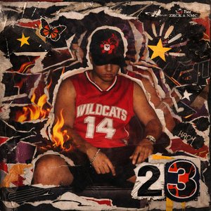 23