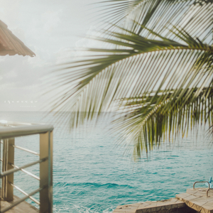 6월의 마지막 밤