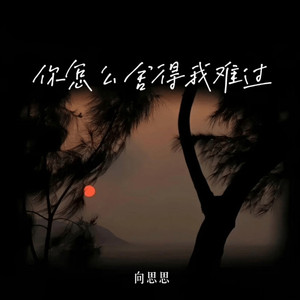 你怎么舍得我难过 (伴奏)