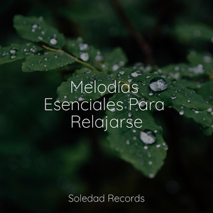 Resonancia De La Tierra