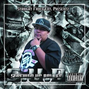 Pass The Mic 2 (feat. Flovatt, Shun, Kallejero, Mc Cerpa, Brisk, BG Bullet, Celtic Link & Krazie)