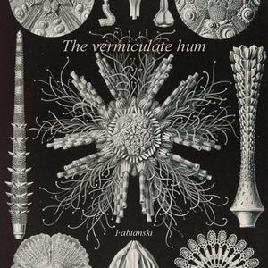 The Vermiculate Hum