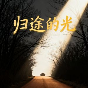 归途的光 (深情版)