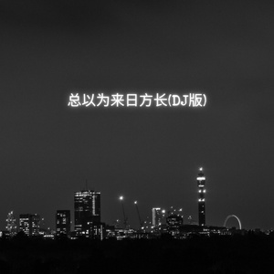 总以为来日方长(DJ版)