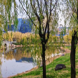 没出息