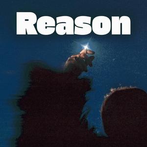 Reason