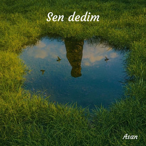 Sen dedim