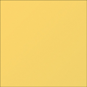 NITE (Cover)