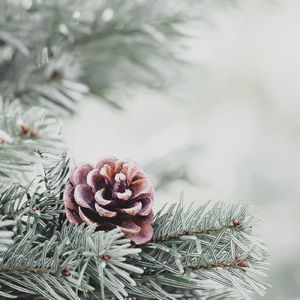 ホットチョコレート (Christmas Feast Music)