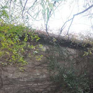 Words I Never Said(1)