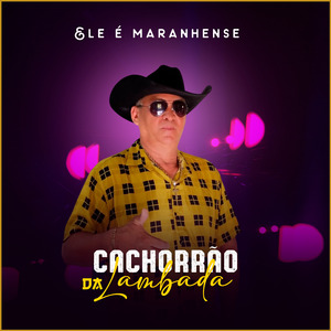 Samambaia