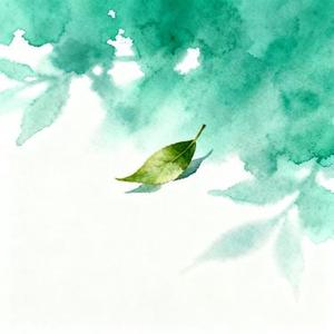 故里寻旧茶
