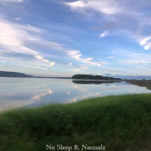 No Sleep (feat. Nannal)