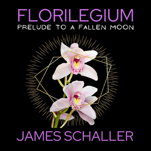 Prelude to a Fallen Moon