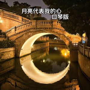 月亮代表我的心 口琴版