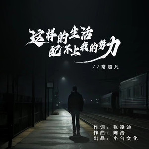 这样的生活配不上我的努力