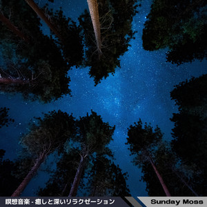 The Healing Experience