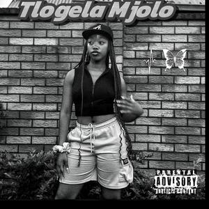 Tlogela mjolo