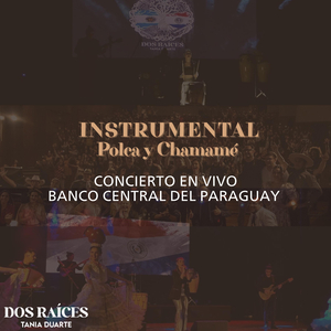 Instrumental - Polca y Chamamé (en vivo)