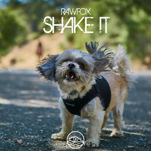 Shake It (Original Mix)