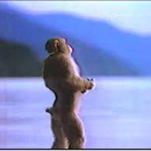 MON3Y (feat. prodwc)