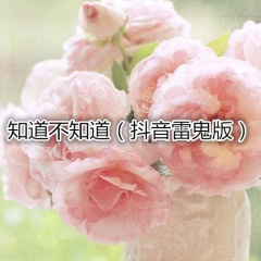 被你伤过的心还能再爱谁 (雷鬼版)