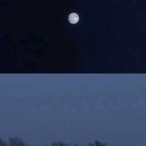 白月光与朱砂痣（翻自 水源小樱）